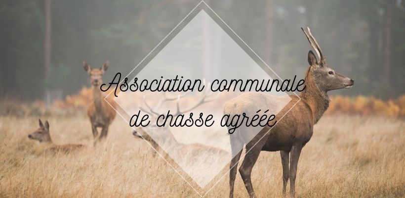 ACCA : Association communale de chasse agréée de La Chapelle-lès-Luxeuil